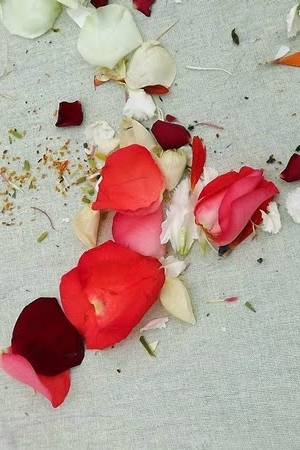 Have you ever recycled a flower?