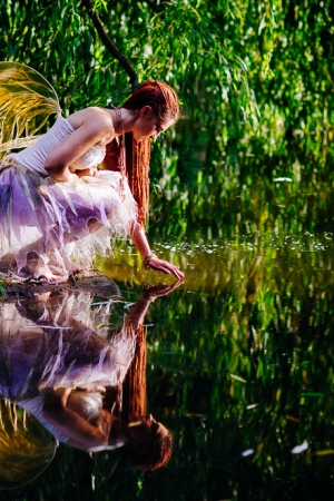 Fairy Wings