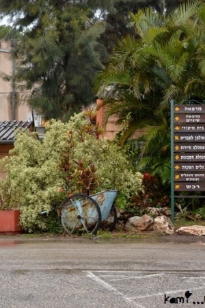Life in kibbutz