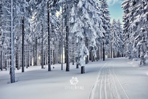 Naleśniki z jagodami w Górach Izerskich