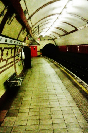 W metrze