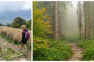 Bieszczadzkie klimaty