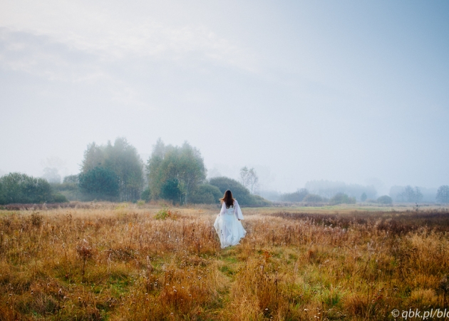 Misty morning