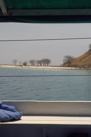 Z Komodo plyniemy na wyspe Flores