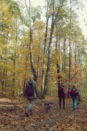 Cieniasy na trekkingu
