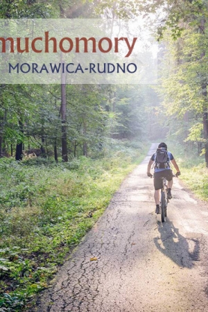 Trasa na muchomory – Morawica-Rudno
