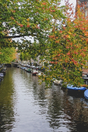 Na czym polega ten fenomen Amsterdamu? 5 zaskoczeń