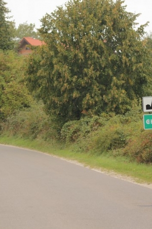Nad morzem - Chłapowo, Hel, Sopot