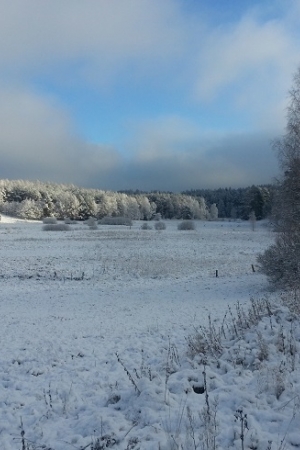 Guzowy Piec, Warmia, magia, cisza i próba uchwycenia chwili- moja fotorelacja
