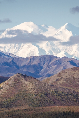 Park Narodowy Denali