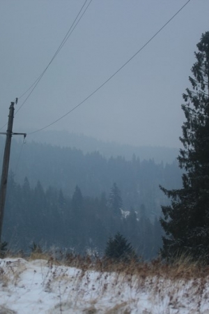 Z Nowego Targu przez Turbacz do Ochotnicy Górnej
