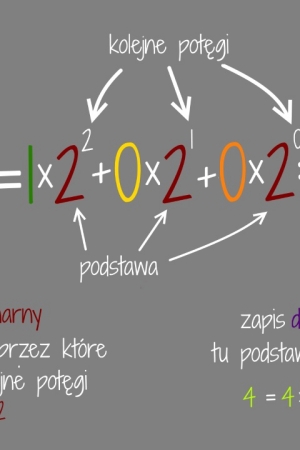 100* porad na dzień w Barcelonie