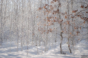 Winter is back here in Poland! ;)