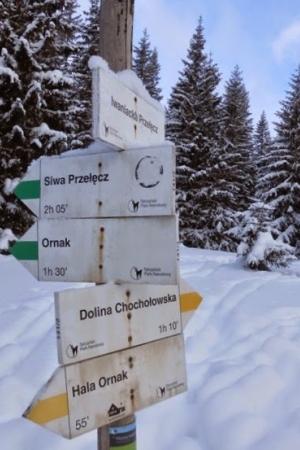 Iwaniacka Przełęcz przez Iwaniacką Dolinę