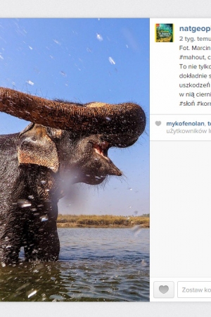 National Geographic Polska