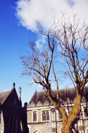 Travel Flashback #12