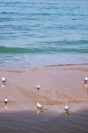 A Perfect Getaway from Beirut. One Afternoon in Saida.