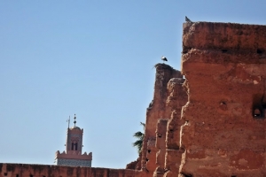 Palaces of Marrakech