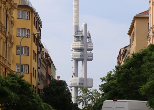Praga zwyczajna