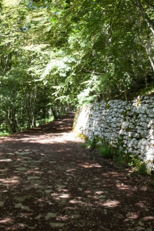 Apeniny w Toskanii i historia Alwerni
