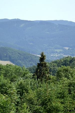 Jeseniky Mountains: witches, spa towns and other attractions