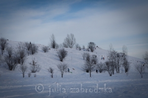 Zima