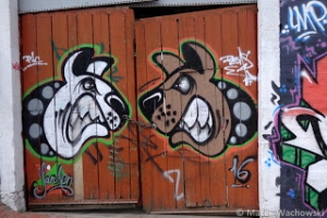 Kolumbia 2016 - Dzień 2 - Bo co? Bogota