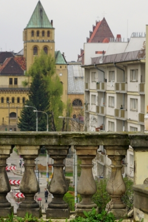 Wrocław, Festiwal Równoleżnik Zero oraz Wrocławskie Zoo