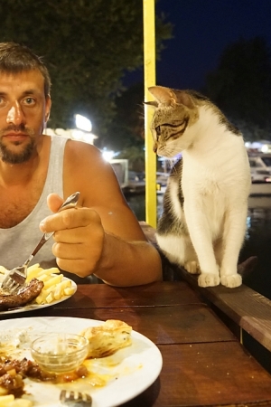 Dalyan, Istuzu, Kaunos, żółwie i koty