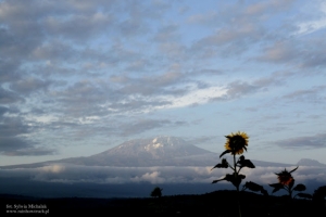Tanzania