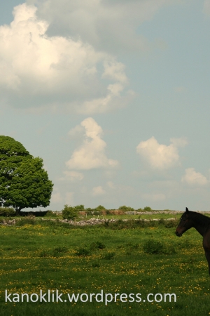 Ireland / Irlandia – first, second and third time