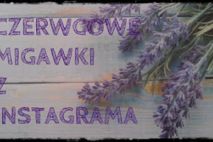 Czerwcowe migawki z Instagrama.