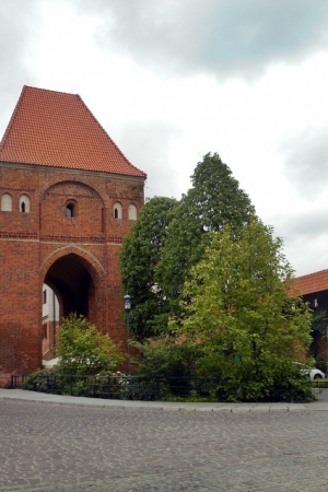 Zamek krzyżacki w Toruniu