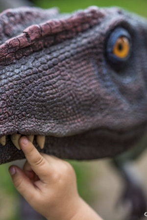 JuraPark – Park Nauki i Rozrywki w Krasiejowie.
