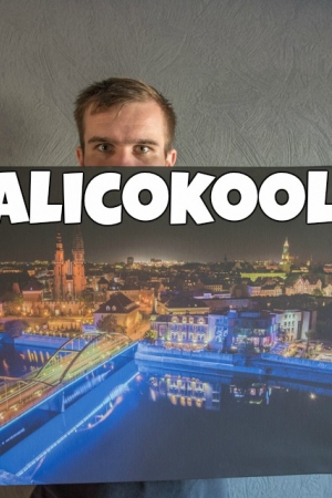 Ocalicokoolka‬