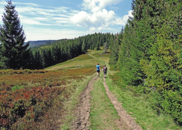 Gorce: Gorcstok 2016