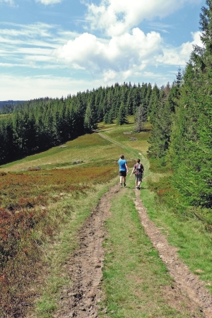 Gorce: Gorcstok 2016