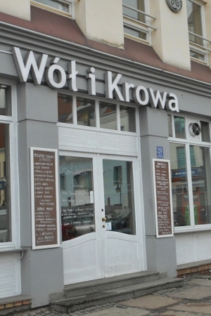 Wół i Krowa w Szczecinie