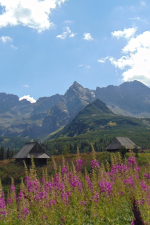 Tatry w moim obiektywie