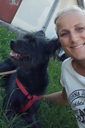 Samochodem, statkiem i pociągiem, czyli jak Grzanka wróciła do domu