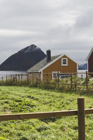 APANML Norway Expedition*