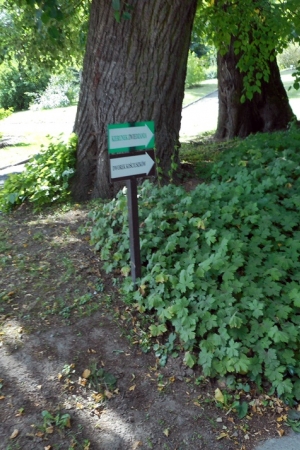 Dworek Kościuszków w Lublinie
