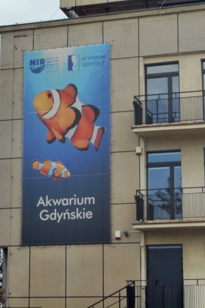 Akwarium Gdyńskie