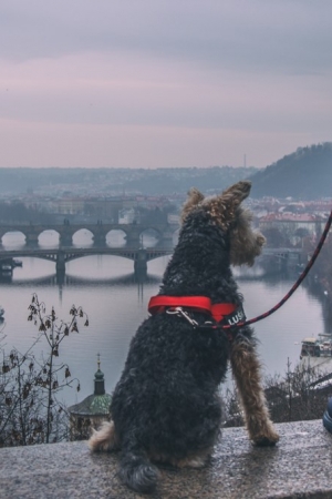 Praga – niby spoko, ale to już nie to.