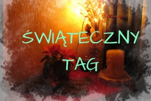 Blogmas: dzień 22. - świąteczny TAG. ;)