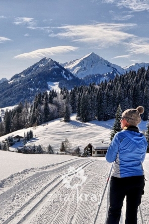 Dolina Kleinwalsertal. Narty biegowe w Austrii